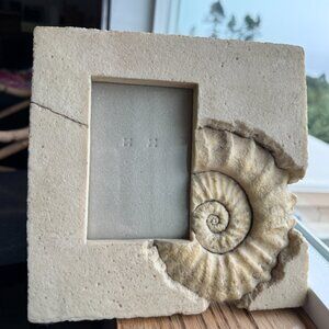 Vintage Frame-ology Faux Stone Ammonite Fossil Frame